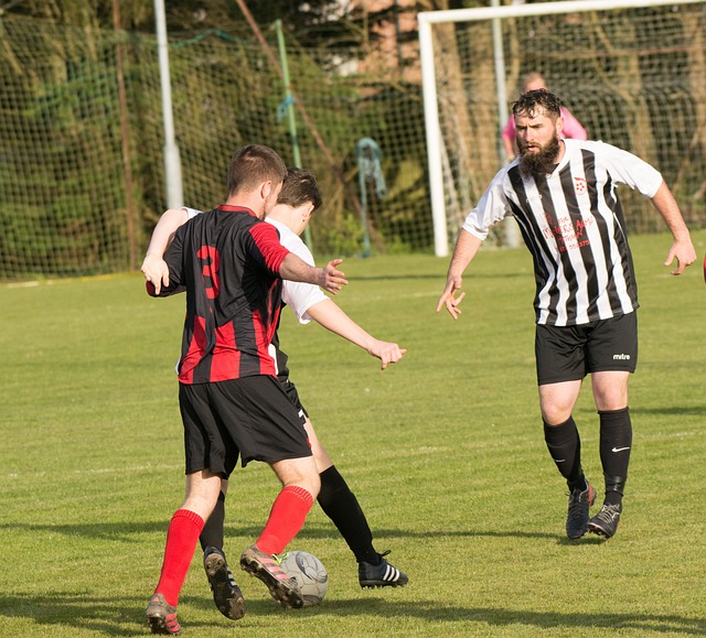 夺中处于不 夺中处于不